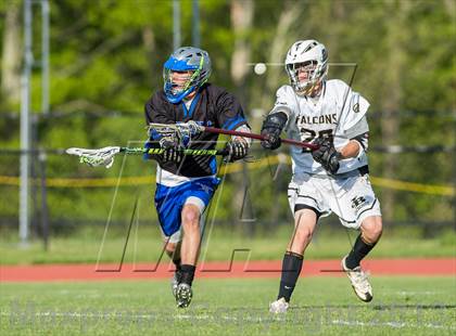 Thumbnail 3 in Bunnell @ Joel Barlow photogallery.