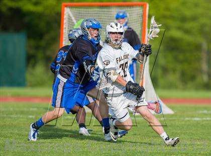 Thumbnail 2 in Bunnell @ Joel Barlow photogallery.
