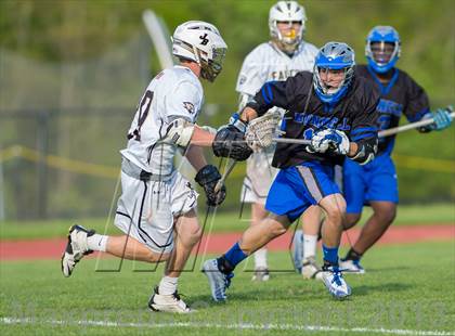 Thumbnail 3 in Bunnell @ Joel Barlow photogallery.