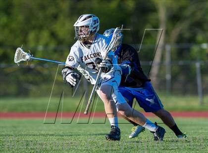 Thumbnail 1 in Bunnell @ Joel Barlow photogallery.