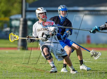 Thumbnail 1 in Bunnell @ Joel Barlow photogallery.