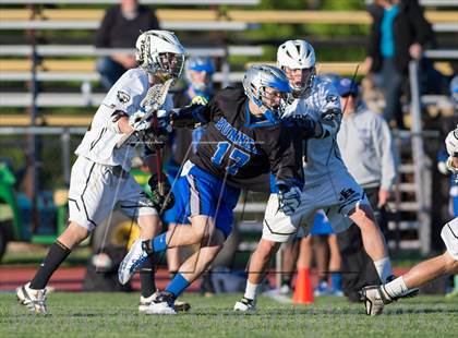 Thumbnail 3 in Bunnell @ Joel Barlow photogallery.