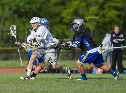 Thumbnail 3 in Bunnell @ Joel Barlow photogallery.