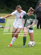Photo from the gallery "Niskayuna @ Shenendehowa"