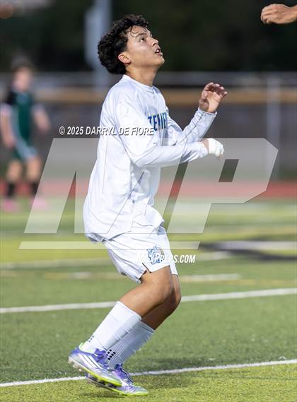 Thumbnail 2 in JV: Titusville @ Melbourne photogallery.