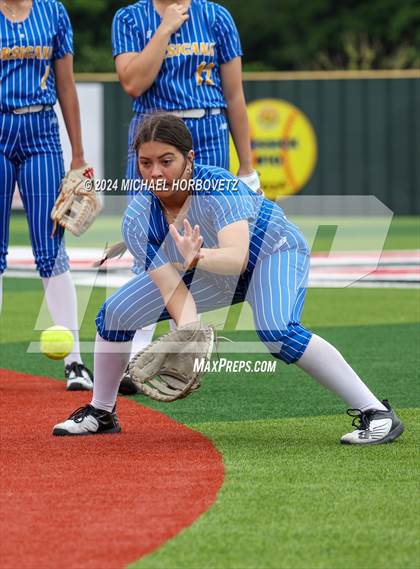 Thumbnail 2 in Corsicana @ Lovejoy (UIL 5A Softball Bi-District) photogallery.