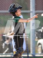 Photo from the gallery "Sage Creek @ Mission Bay"