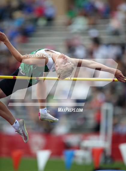 Thumbnail 2 in CHSAA State Championships (High Jump, w/ De Beque's Scottie Vines) photogallery.