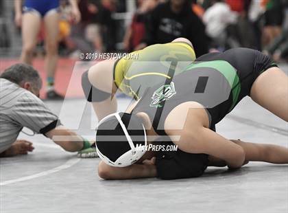 Thumbnail 3 in CIF SS Girls Wrestling Championships (Day 1 - 2/2) photogallery.