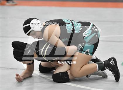 Thumbnail 3 in CIF SS Girls Wrestling Championships (Day 1 - 2/2) photogallery.