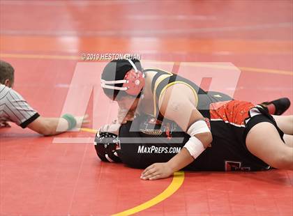 Thumbnail 3 in CIF SS Girls Wrestling Championships (Day 1 - 2/2) photogallery.