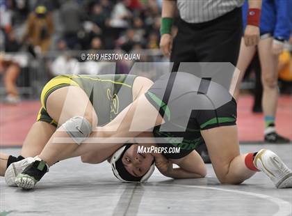 Thumbnail 3 in CIF SS Girls Wrestling Championships (Day 1 - 2/2) photogallery.