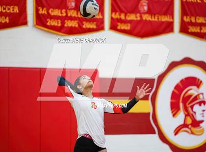 Thumbnail 1 in Saguaro @ Seton Catholic photogallery.