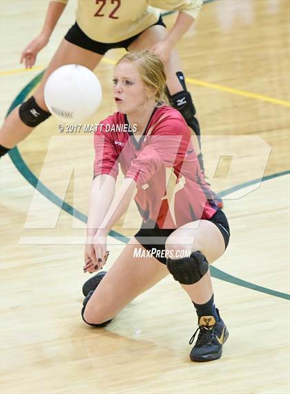Thumbnail 2 in Ponderosa @ Mountain Vista photogallery.