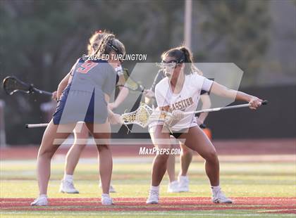 Thumbnail 1 in Milton @ Lassiter photogallery.