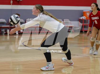 Thumbnail 2 in Trimble vs Alexander photogallery.