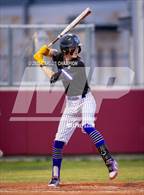 Photo from the gallery "University @ Chaparral"