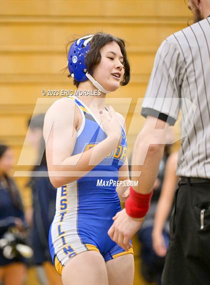 Thumbnail 2 in Lady Big Kat Classic photogallery.