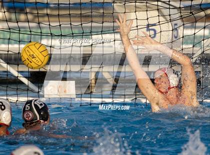Thumbnail 3 in Palos Verdes vs. Mt. Carmel photogallery.