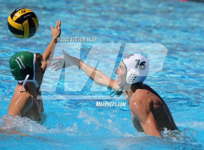 null - Photo 01