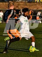 Photo from the gallery "Moriarty @ Taos"