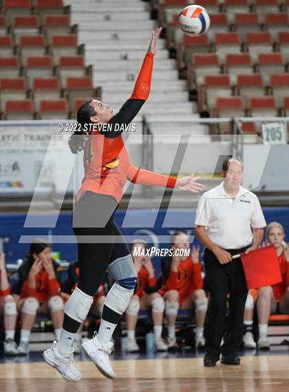 Thumbnail 1 in Corona del Sol vs. Hamilton (AIA 6A Final) photogallery.