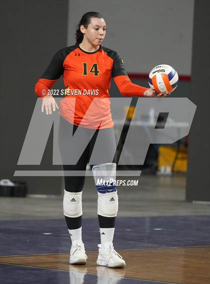 Thumbnail 3 in Corona del Sol vs. Hamilton (AIA 6A Final) photogallery.