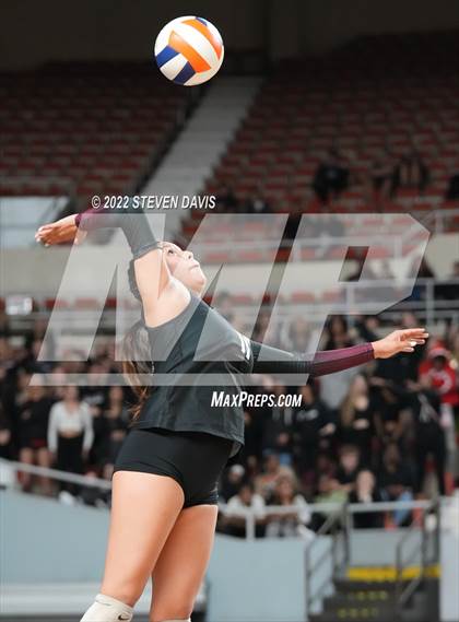 Thumbnail 1 in Corona del Sol vs. Hamilton (AIA 6A Final) photogallery.