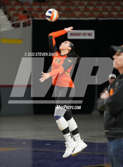 Thumbnail 1 in Corona del Sol vs. Hamilton (AIA 6A Final) photogallery.