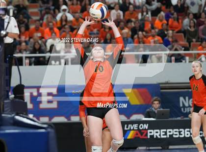 Thumbnail 2 in Corona del Sol vs. Hamilton (AIA 6A Final) photogallery.
