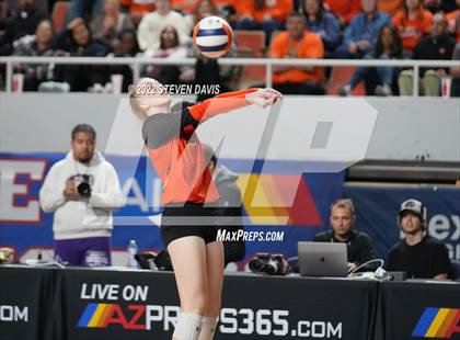 Thumbnail 1 in Corona del Sol vs. Hamilton (AIA 6A Final) photogallery.