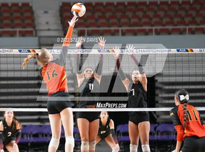 Thumbnail 3 in Corona del Sol vs. Hamilton (AIA 6A Final) photogallery.