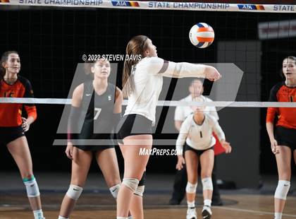 Thumbnail 3 in Corona del Sol vs. Hamilton (AIA 6A Final) photogallery.