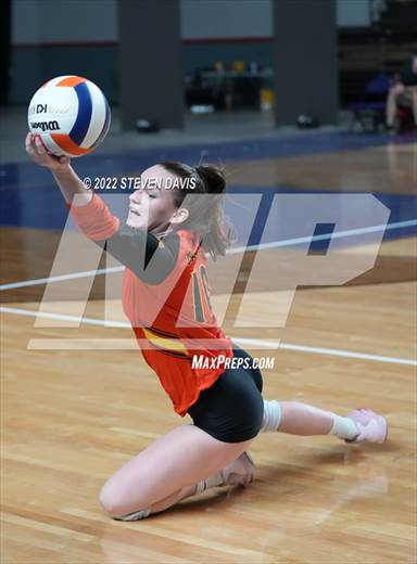 null - Photo 01
