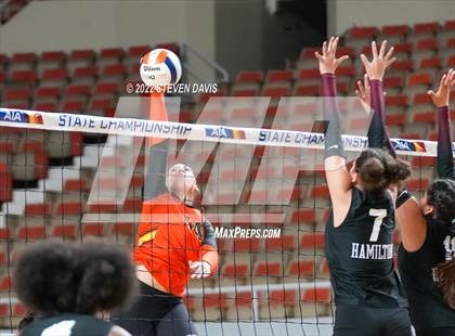 Thumbnail 1 in Corona del Sol vs. Hamilton (AIA 6A Final) photogallery.