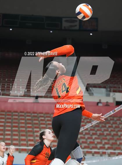 Thumbnail 2 in Corona del Sol vs. Hamilton (AIA 6A Final) photogallery.