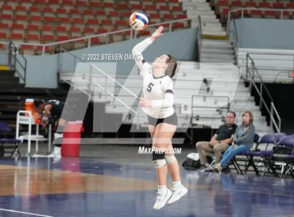 Thumbnail 1 in Corona del Sol vs. Hamilton (AIA 6A Final) photogallery.