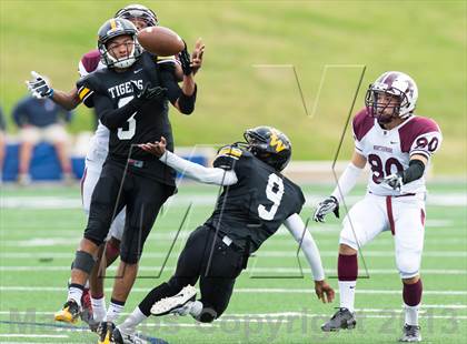 Thumbnail 3 in Northbrook @ Spring Woods photogallery.