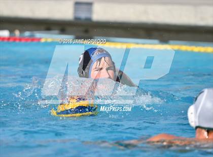 Thumbnail 3 in Stevenson @ Christopher photogallery.