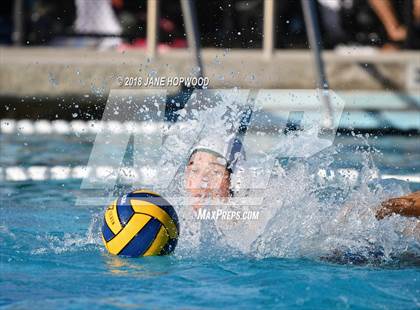 Thumbnail 3 in Stevenson @ Christopher photogallery.