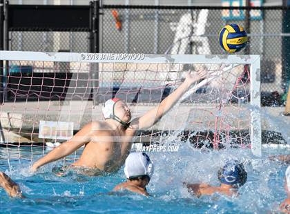 Thumbnail 1 in Stevenson @ Christopher photogallery.