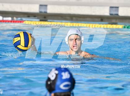 Thumbnail 2 in Stevenson @ Christopher photogallery.