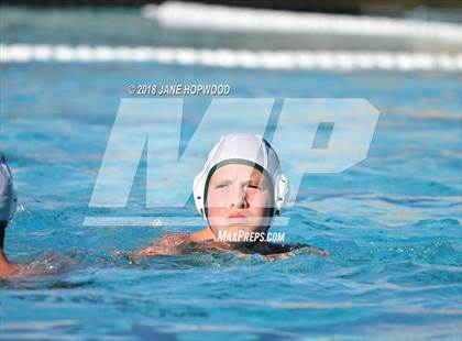 Thumbnail 3 in Stevenson @ Christopher photogallery.