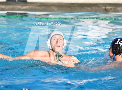 Thumbnail 3 in Stevenson @ Christopher photogallery.