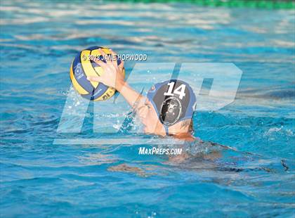 Thumbnail 2 in Stevenson @ Christopher photogallery.