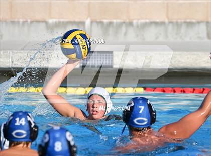 Thumbnail 2 in Stevenson @ Christopher photogallery.