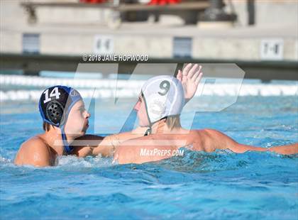 Thumbnail 3 in Stevenson @ Christopher photogallery.