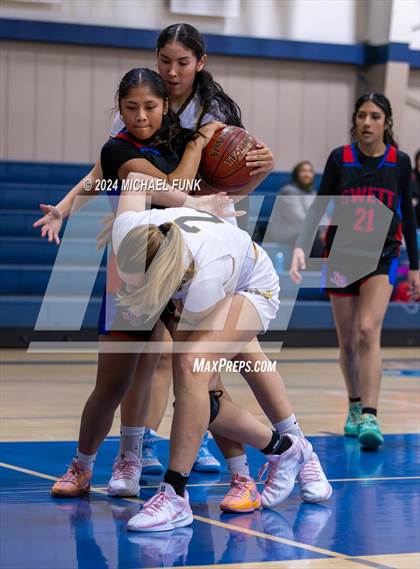 Thumbnail 3 in Swett vs. Novato photogallery.