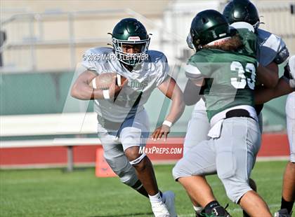 Thumbnail 3 in Flagler Palm Coast (Green/White Spring Scrimmage) photogallery.