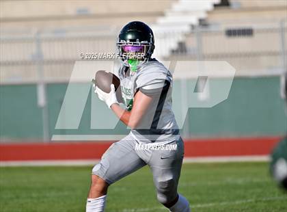 Thumbnail 1 in Flagler Palm Coast (Green/White Spring Scrimmage) photogallery.